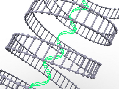 基因在 dna 中