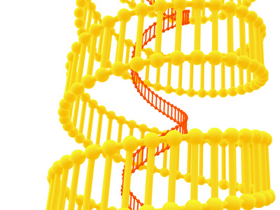 基因在 dna 中