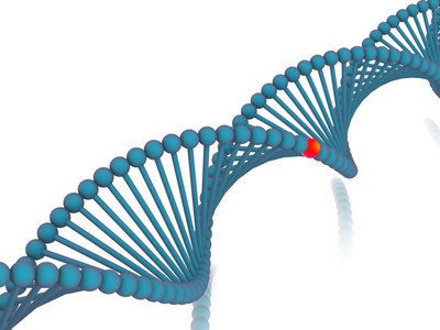 基因在 dna 中