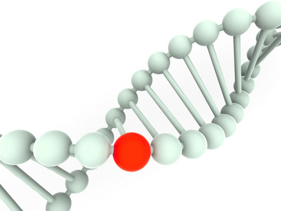 基因在 dna 中