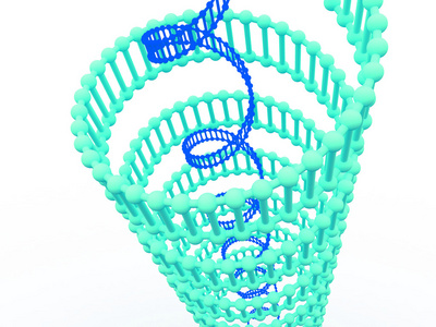 基因在 dna 中