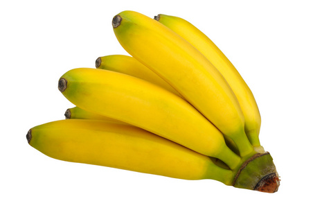 香蕉的分支