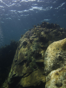 海洋岩