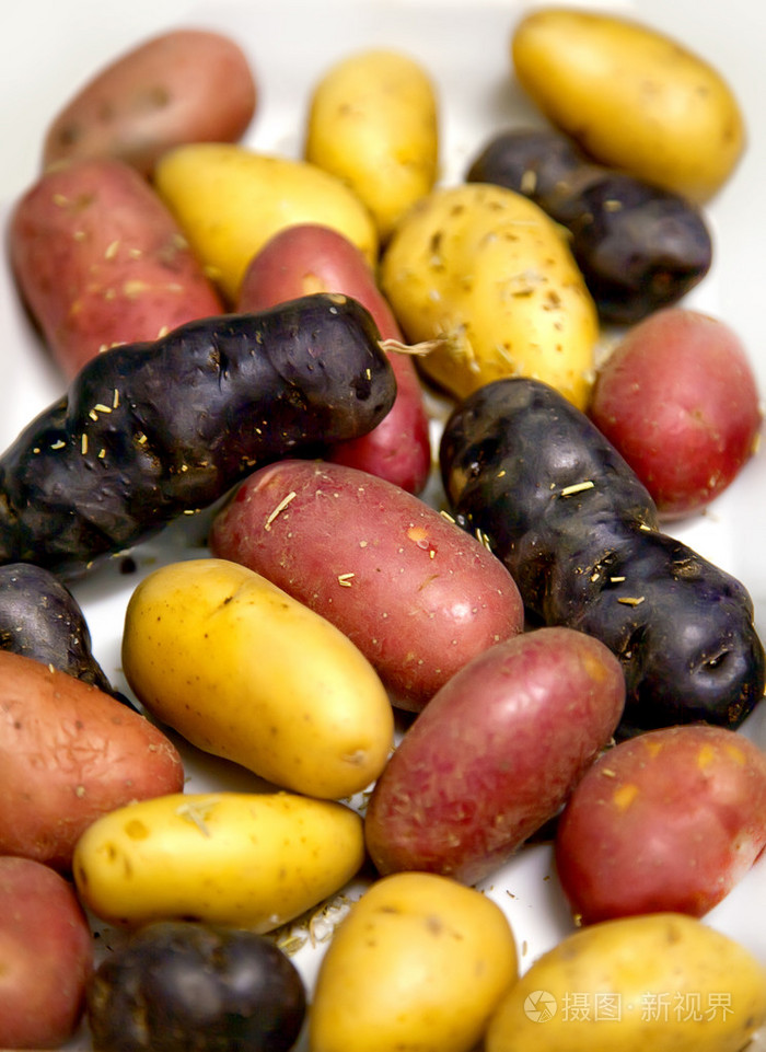 马铃薯在树的颜色