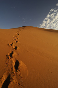 有一个人在沙漠沙丘的足迹