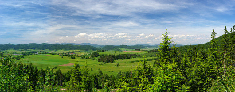 夏天全景