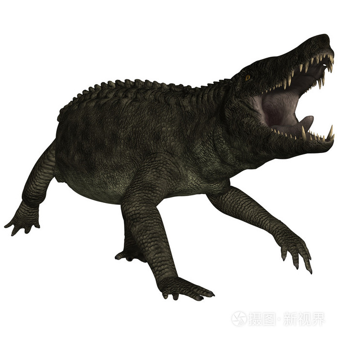 乌贝拉巴苏楚斯塔