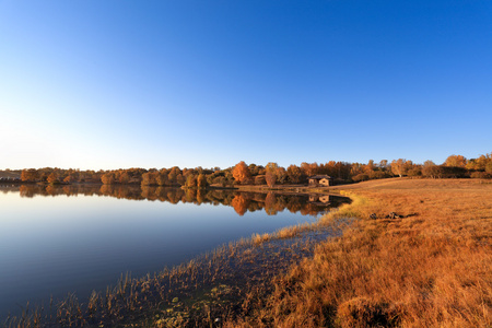 深秋的湖水在清晨图片