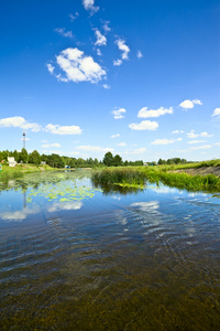 夏天风景