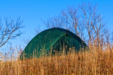 在一种草特写旅游帐篷