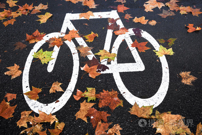 一条街的白色标记自行车车道