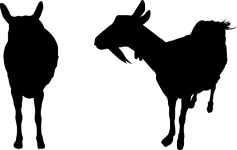 两个 silhouettes 的保姆山羊
