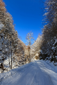 在冬天的乡村路