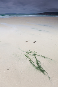 Beach of Carnota, Rias Baixas, La Corua, Galicia, Spain