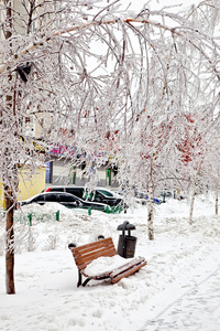 后雨夹雪图片