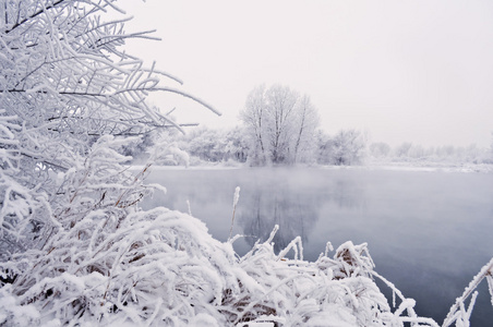 冬天背景与树木 湖和雪