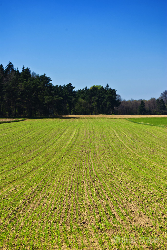 字段的绿线照片-正版商用图片0vitxw-摄图新视界
