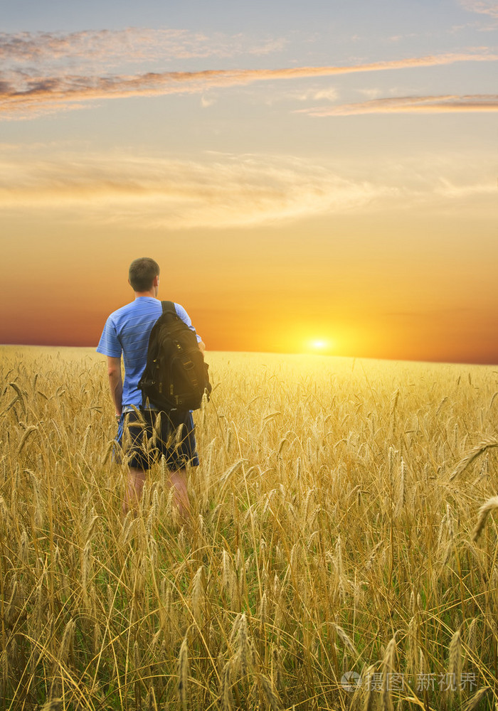 黄小麦草甸的男人照片-正版商用图片0viu6h-摄图新视界