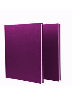 孤立的两个紫色笔记本