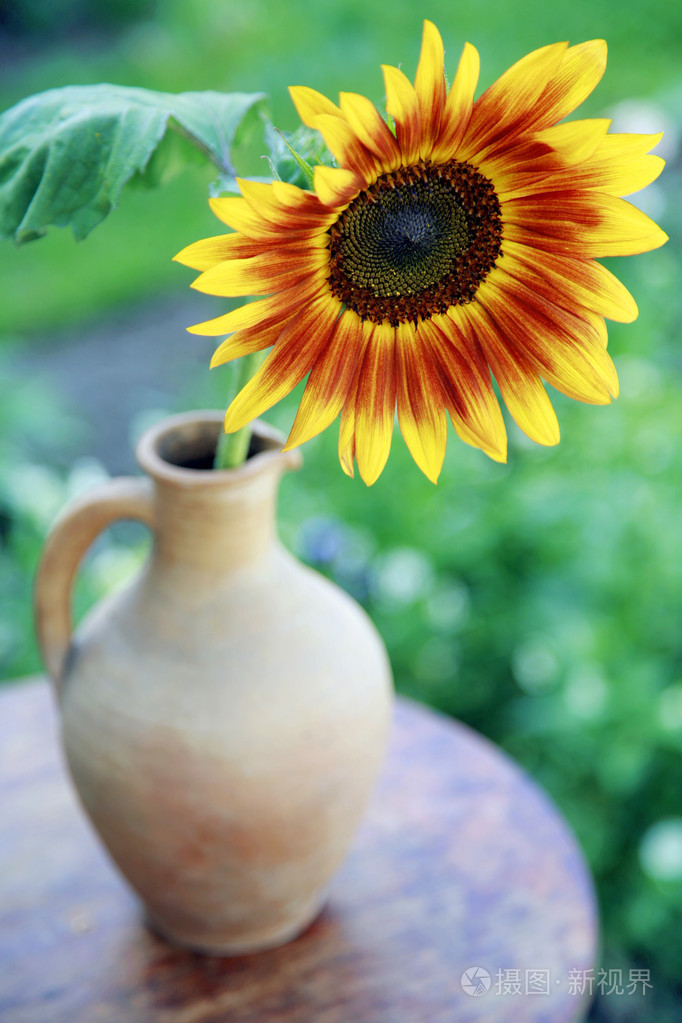 向日葵在花瓶特写