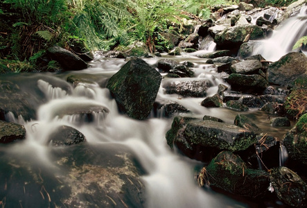 山区河流。流的水在森林和山的地形