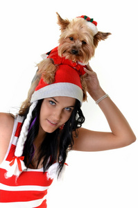 漂亮的女孩和狗在圣诞老人帽子圣诞节