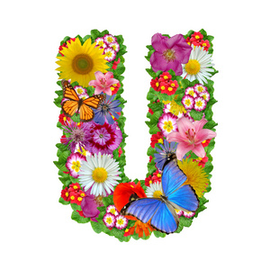 花卉和蝴蝶字母表