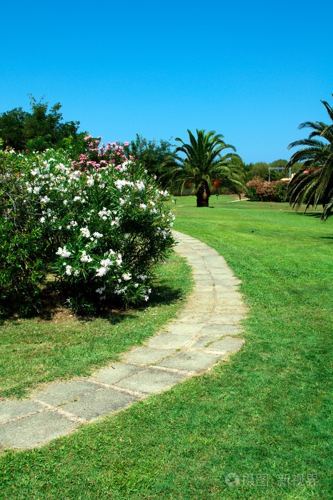 在一个美丽的花园中的石头小路