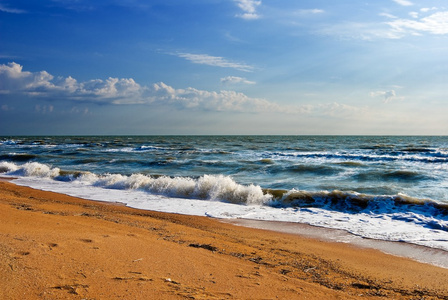 夏季海