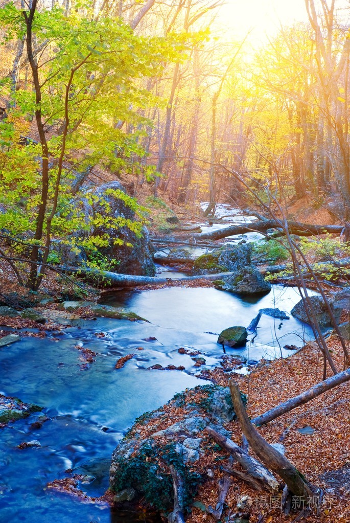 蓝河在秋天的森林由夏日里的一天