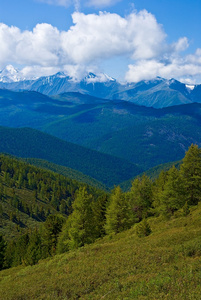 山山谷风景