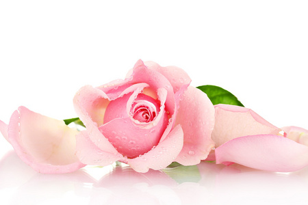 干护城河罗兹图片