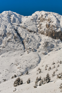 冬山风景