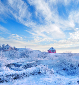 在村中雪