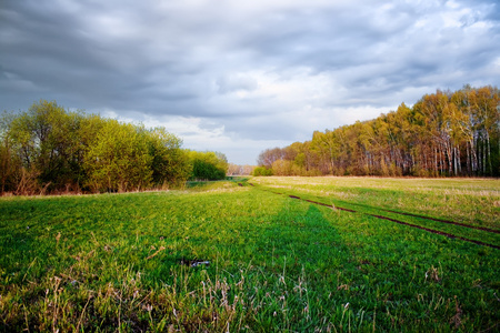 素描夏季阴天景观图片