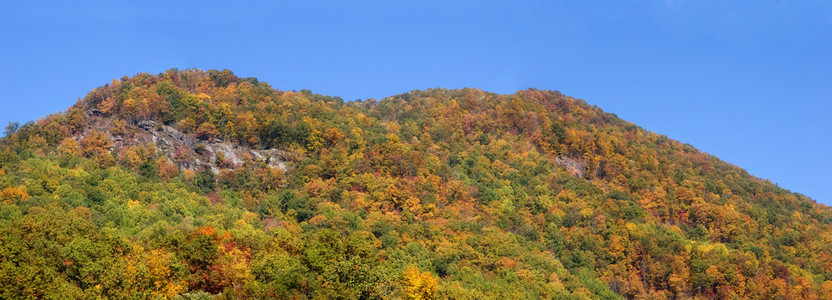 山全景