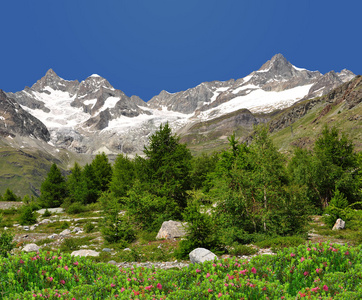 奥伯 gabelhorn瑞士的阿尔卑斯山