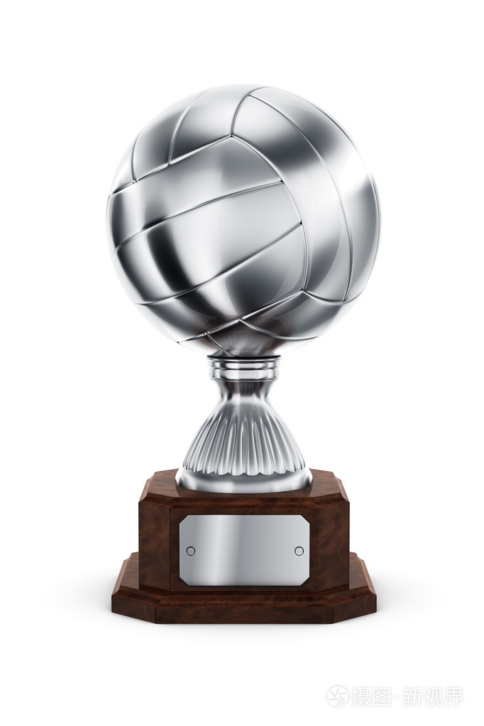 银排球的奖杯
