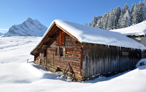 高山风光 braunwald 瑞士