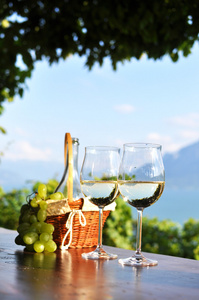 葡萄酒和葡萄对日内瓦湖。拉沃葡萄园小地区瑞士