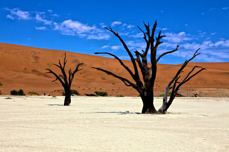 deadvlei 纳米布 naukluft 国家 pa 橙色沙丘死棵