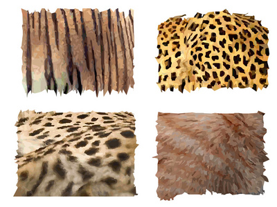 猫科动物毛皮模式图片