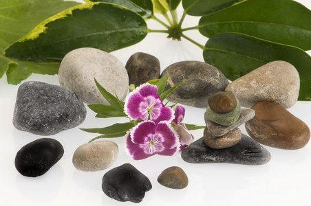 禅宗石头和鲜花