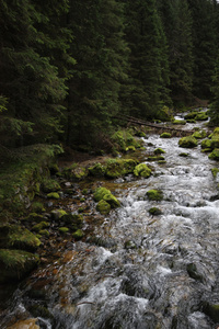 Gry,Tatry