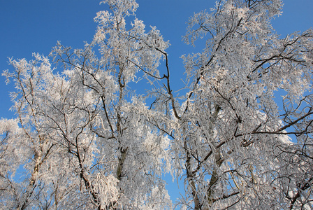 性质和雪