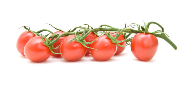 樱桃西红柿被隔绝在白色的分支