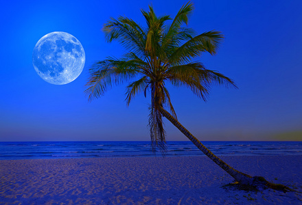 热带海滩在午夜与皎洁的月亮