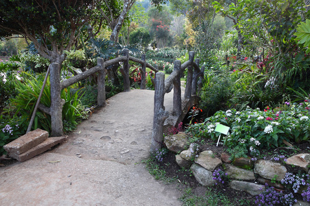 在花园中石头小路步行桥图片