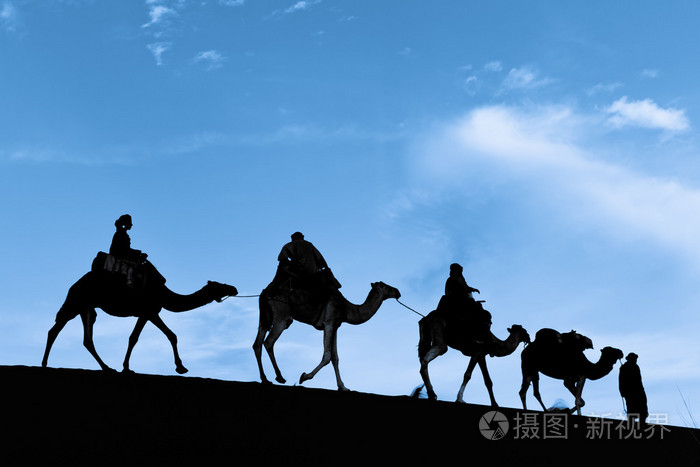 在撒哈拉沙漠中的骆驼商队的剪影