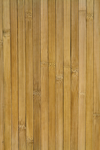 木材单板